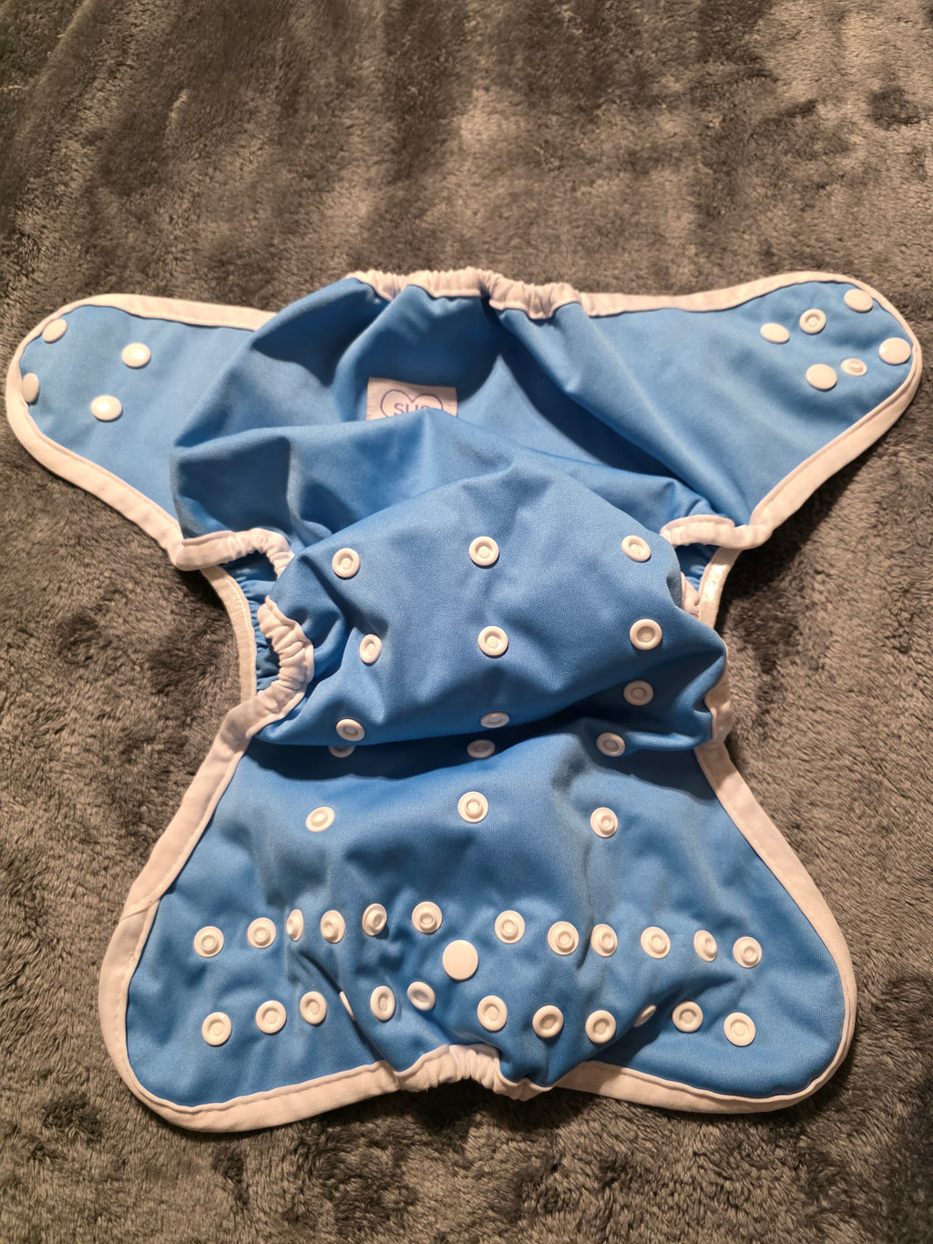 ES Sus cover (blue)